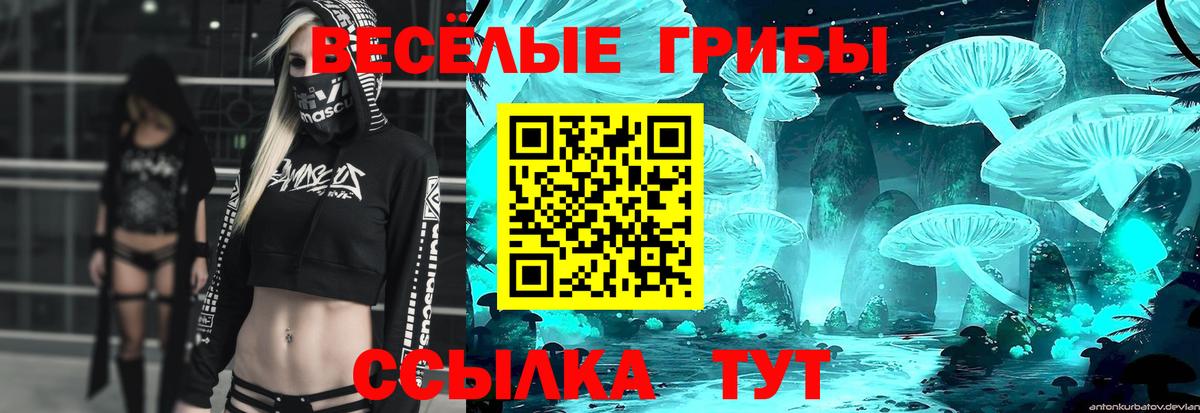 Псилоцибиновые грибы Magic Shrooms Мурино