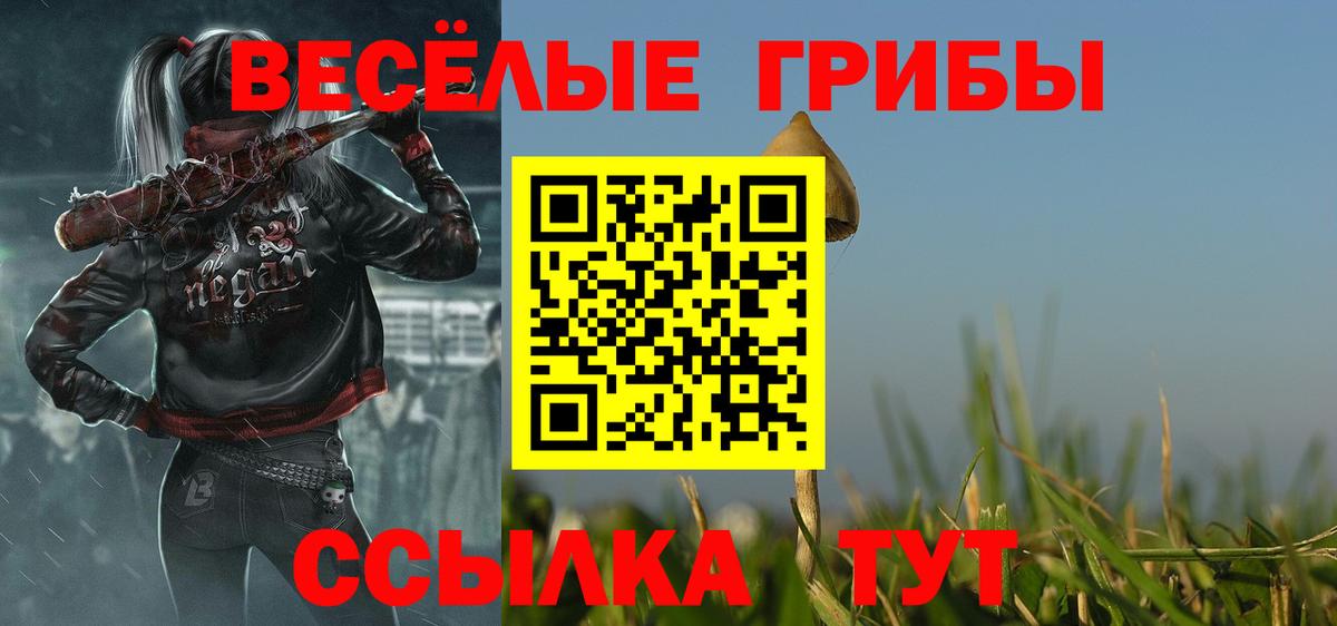Псилоцибиновые грибы GOLDEN TEACHER  Вход с VPN  Галлюциногенные грибы MAGIC MUSHROOMS  Мурино 
